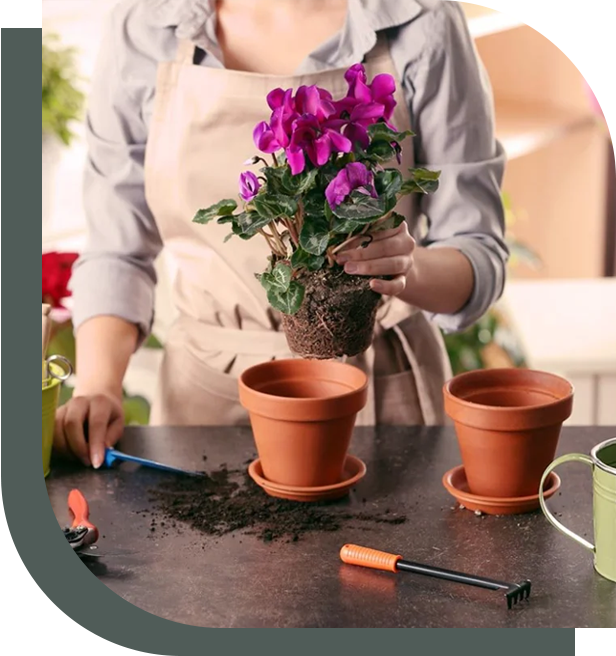 Samuel Martin Artisan Peintre TORCE Groupe 7343 09