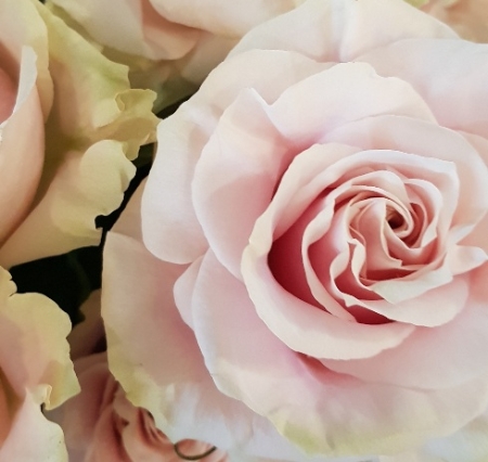 LES JOLIES CHOSES Fleuriste Nantes Bouquet De Roses Roses 1