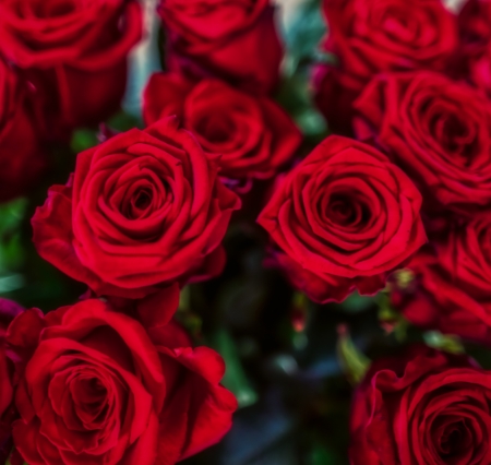 LES JOLIES CHOSES Fleuriste Nantes Bouquet De Roses Rouges